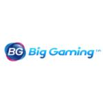 BIG GAMING